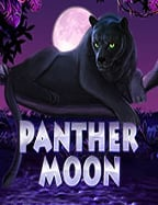 วิธีเล่น caishen win demo สนุกง่าย ได้เงินจริง